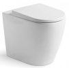 ARGENT GRACE HYGIENIC FLUSH WALL FACED TOILET SUITE Product Image 2