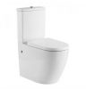 CERAMIC EXCHANGE RAISED HEIGHT BACK TO WALL TOILET SUITE Product Image 2