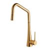 ABEY ARMANDO VICARIO TINK SINK MIXER WITH PULL OUT BRUSHED GOLD Product Image 2