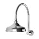 NOSTALGIA SHOWER ARM AND ROSE NS125 CHR CHROME
