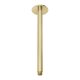 VIVID CEILING ARM 300MM ROUND V544-12 BRUSHED GOLD