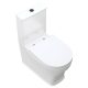 LILLIAN TORNADO FLUSH BACK TO WALL TOILET SUITE S-TRAP 90-160 K031A