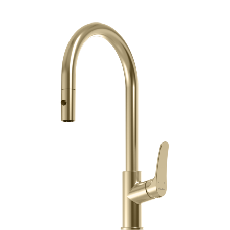 VERONA PULL OUT GOOSE NECK SPRAY MIXER VA306503CG-P CLASSIC GOLD