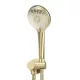 ROUND HANDSHOWER ON SWIVEL BRACKET MZ06-PVDBB TIGER BRONZE