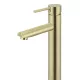 ROUND TALL BASIN MIXER MB04-R2-PVDBB TIGER BRONZE
