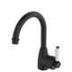 ELEANOR GOOSENECK BASIN MIXER 202104BK-LF MATTE BLACK