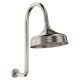 LILLIAN WALL ARM SHOWER SET 411138BN-A BRUSHED NICKEL